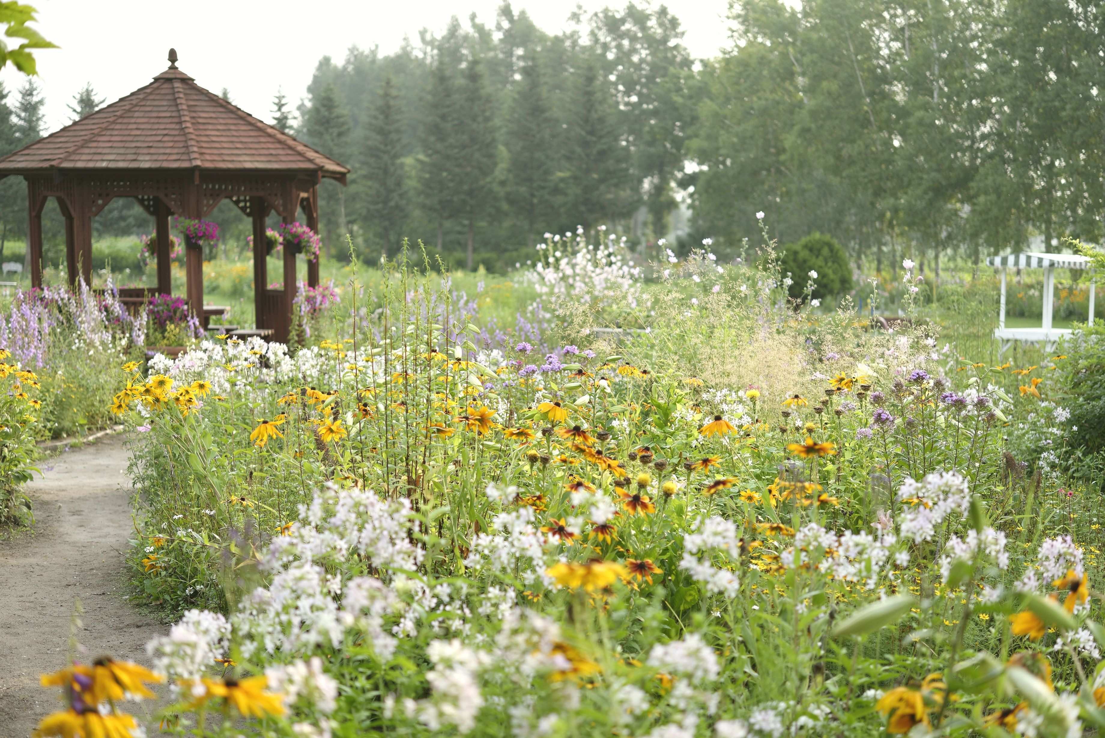 🌸 시치쿠 가든 이미지 6